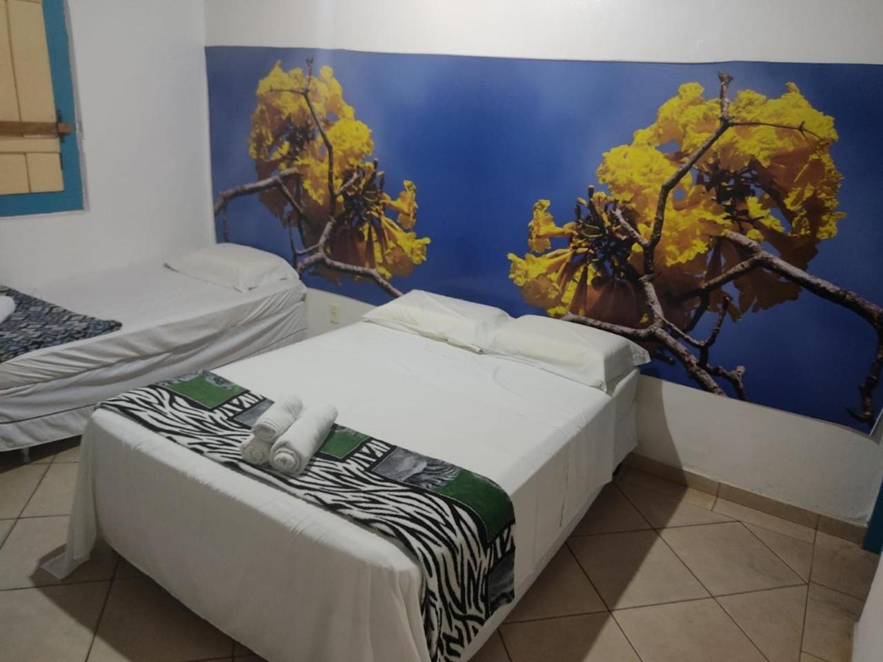 Pousada Colonial Pirenópolis Eksteriør billede